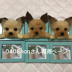 額縁犬写真が飾れるタイプオーダー