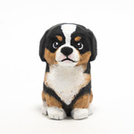 コルクのバーニーズマウンテンドッグ・子犬