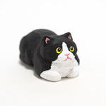 コルクの香箱座り猫・ハチワレ