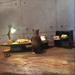 森の食卓    パン屋さんの工房台set