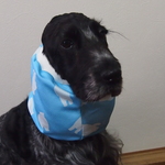 　♡COOL!冷感!UVカット!しろくまブルー♡中型犬スヌード