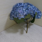 ドライフラワー紫陽花 ⑨2017