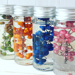 Herbarium☆ミニボトル☆ドライフラワー・ハーバリウム