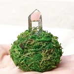 苔玉水晶
