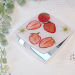 送料無料！本物の押しイチゴと押し花のコンパクトミラー♡