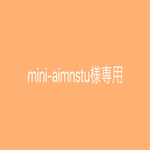 mini-aimnstu 様専用