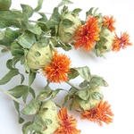 紅花＊ドライフラワー＊d