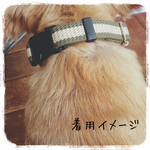 ★再販なし★ ツートンカラー　首輪＆リード　 セット★