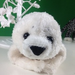 アザラシの赤ちゃん