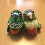 Anzuさま♡専用注文ページ:お胸が可愛い♡ウロコインコちゃんペア（中型インコ）