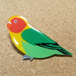 ルリゴシボタンインコのブローチ