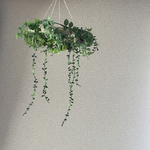 フライングリース＊botanical
