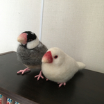 文鳥ペア オーダー品