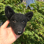 黒犬