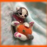 ぼっちな仔猫♥️4