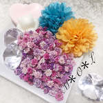 かすみ草ドライフラワー
