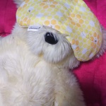 玄米カイロ ～ﾗﾍﾞﾝﾀﾞｰの香り～ ｱｲﾋﾟﾛｰ ｱｲﾏｽｸ