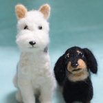 chirokun2007様ご依頼品*ダックスとワイヤーフォックステリア