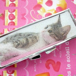 ピンクのシートに横たわる仔猫ちゃん_ピルケース