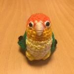 モモヒキ可愛い♡シロハラインコちゃん（中型インコ）