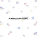 ☆tomoesatake様専用☆