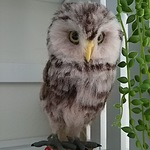 送料込み切り株アナホリフクロウ