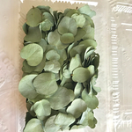 ユーカリの葉