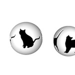 Cat's shadow ball