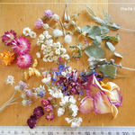 ドライフラワー 貝細工 雪柳 ユーカリ 花かんざし 花びら キャンドル レジン 材料