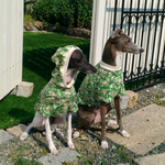 フィラリア対策防蚊ニット🌟サイズS イタグレ服 セミオーダー可