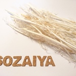 ニゲラオリエンタリスの枝 ホワイト ドライフラワー