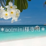 ＊aoimini様オーダー専用ページ＊