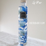 Interior Flower HERBARIUM　～海いろ～