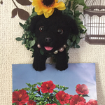 羊毛フェルトワンコのメモ挟み