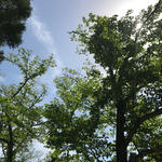 mmsyo様専用