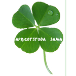 apricotsodaさま専用