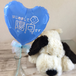 ＊送料無料＊ 命名 バルーン プロップス♡ベビーキット