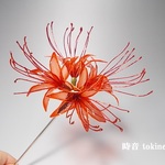 彼岸花・ヒガンバナ　かんざし　　