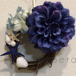 サマーリース ヒトデ