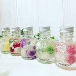 Herbarium☆ドライフラワー・ハーバリウム