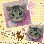 moehosoyannn様専用にゃんこ羊毛フエルトストラップ