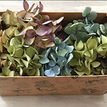 紫陽花ドライフラワーハンドメイド用