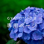 【gya*****さま専用ページ】