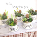 《残2》多肉☆botanical pot