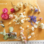 ドライフラワー 貝細工 雪柳 ユーカリ 花かんざし 花びら キャンドル レジン 材料