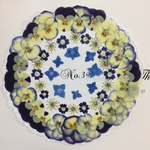 ♡sale♡¥900→¥750 送料無料 押し花セット