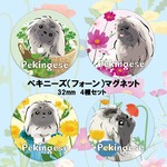 ペキニーズ（フォーン） マグネット 4種セット　