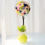 香る。.・*＊🌼Happyの花咲くトピアリー