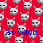 襟首輪