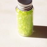 ＊再販＊木漏れ日の新芽
